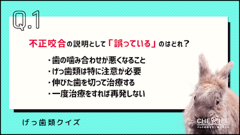 【クイズ】命に関わることも!不正咬合ってどんな病気?のアイキャッチ画像