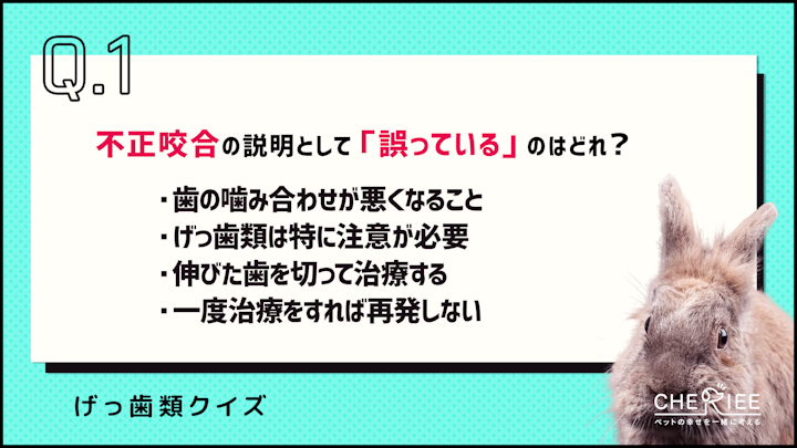 【クイズ】命に関わることも!不正咬合ってどんな病気?のアイキャッチ画像