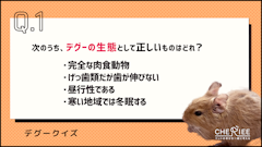 記事カテゴリ第1位