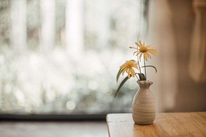 獣医師監修,緑内障,眼圧,眼内圧,眼房水,症状,診断,治療,予防