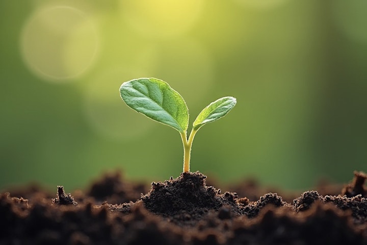 グリーフ,心,悲しみ,ペットロス,ペットロス症候群