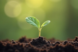 グリーフ,心,悲しみ,ペットロス,ペットロス症候群