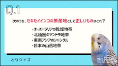 記事カテゴリ第5位