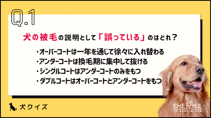 【クイズ】犬の被毛の特徴とは？知っておきたい基礎知識のアイキャッチ画像