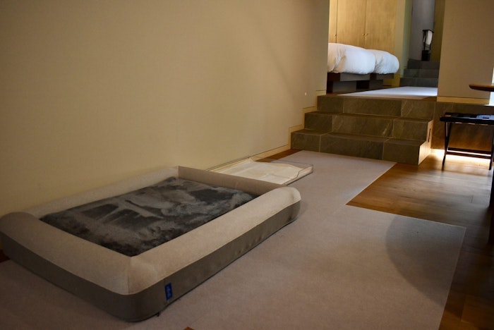 箱根,リトリート箱根,ヴィラ,ドッグフレンドリー,宿泊,滞在,同伴,ラグジュアリー