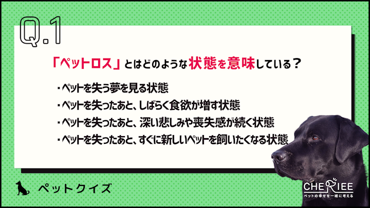 【クイズ】今から考えておこう！ペットロスとはどんな状態？のアイキャッチ画像