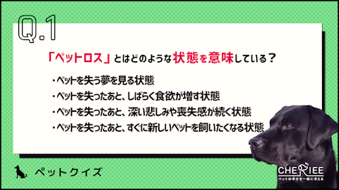 【クイズ】今から考えておこう!ペットロスとはどんな状態?のアイキャッチ画像