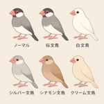 エサ,飼い方,ケージ,シード,文鳥