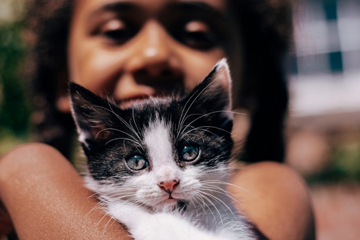 飼いたい,子ども,生活,親,ペット