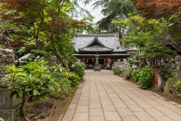 犬,猫,マナー,初詣,参拝,神社,関東