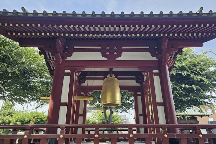 犬,猫,マナー,初詣,参拝,神社,関東