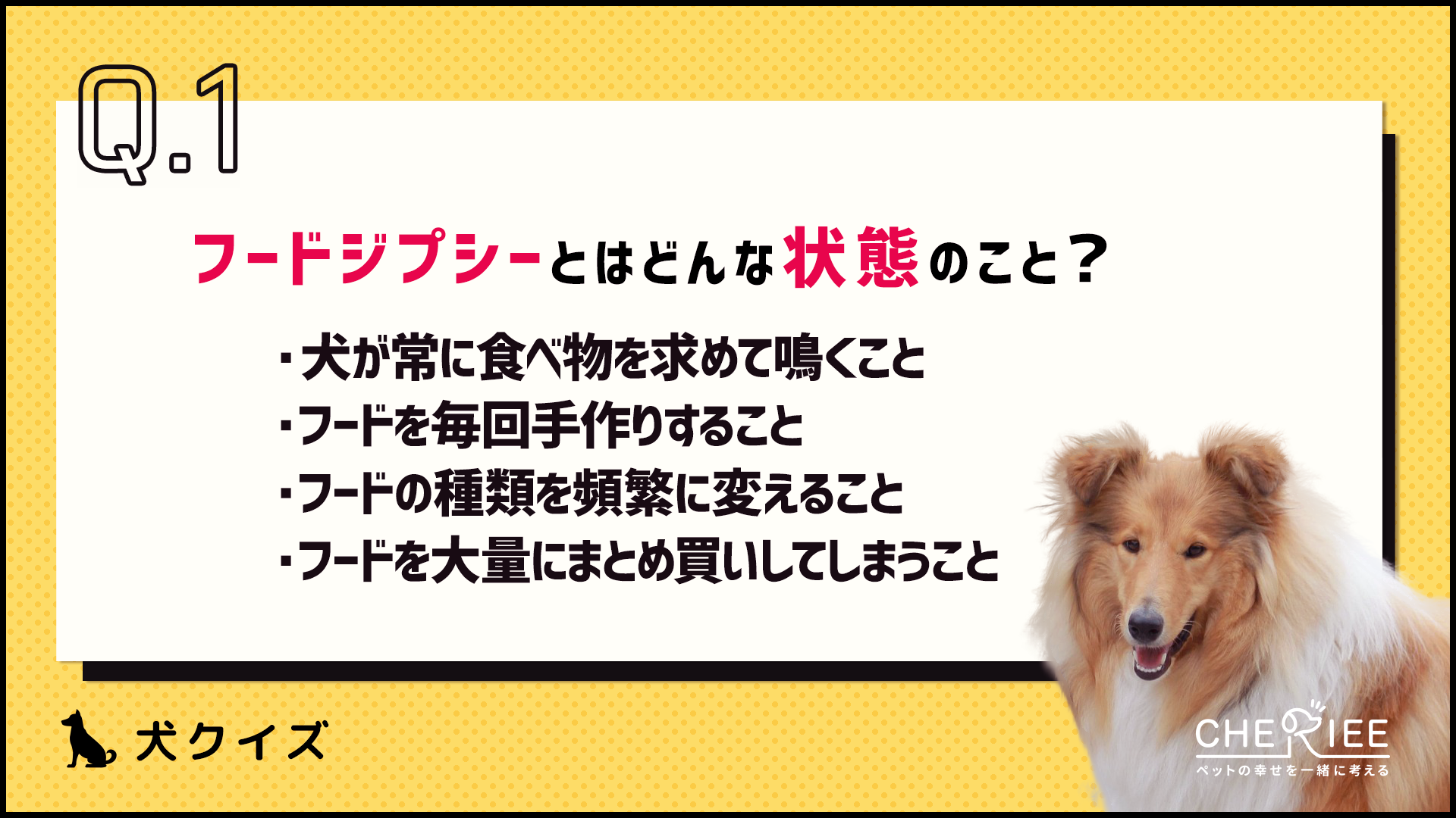 【クイズ】飼い主が気をつけよう！フードジプシーとはどういう状態？