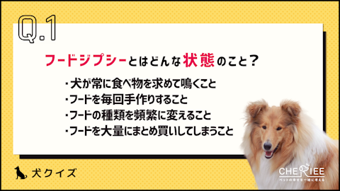 【クイズ】飼い主が気をつけよう！フードジプシーとはどういう状態？のアイキャッチ画像