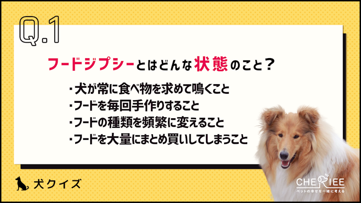 【クイズ】飼い主が気をつけよう!フードジプシーとはどういう状態?のアイキャッチ画像