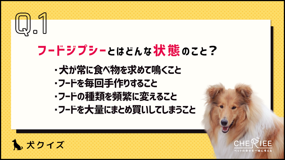 【クイズ】飼い主が気をつけよう!フードジプシーとはどういう状態?