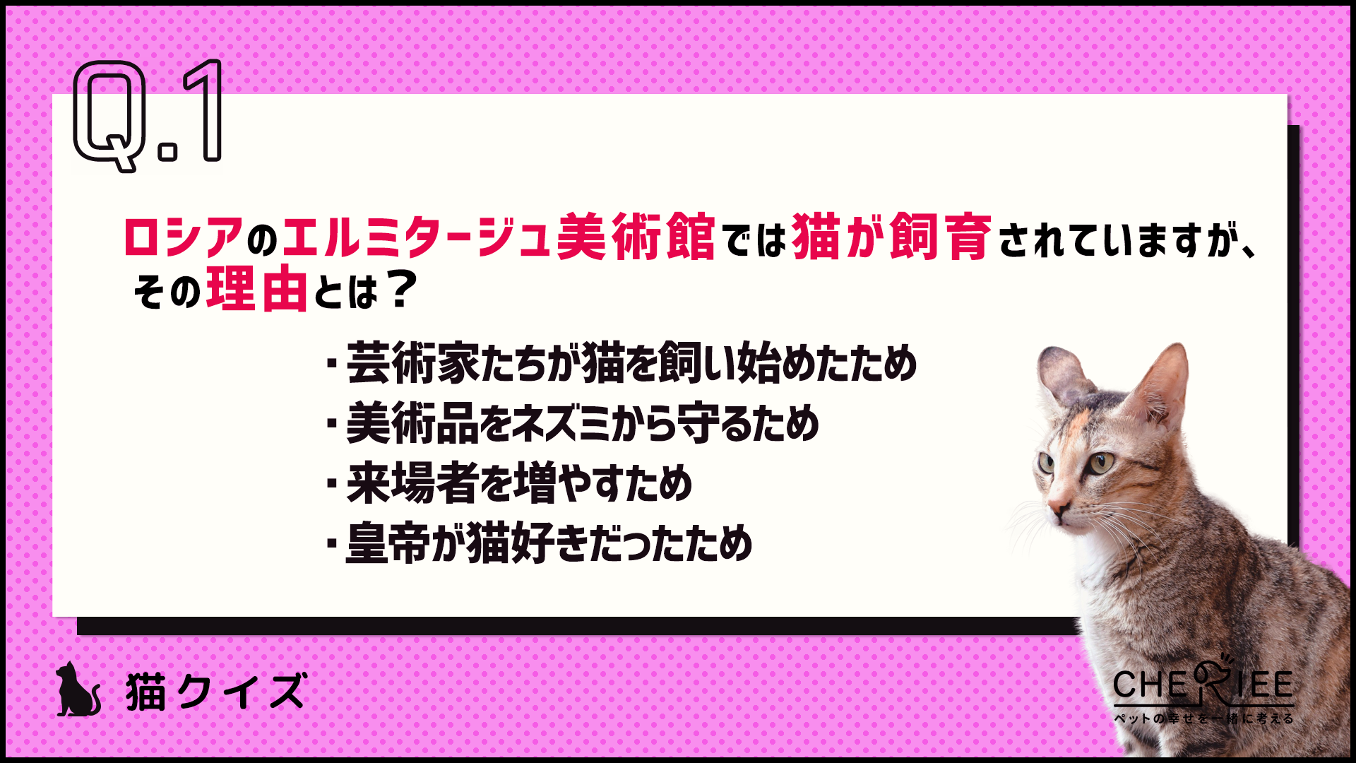 【クイズ】どれだけ知ってる？もっと猫が好きになる雑学クイズ②