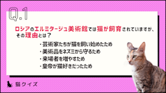 記事カテゴリ第1位