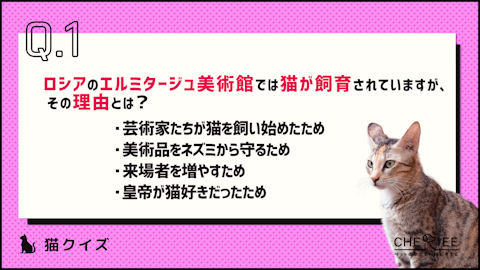 【クイズ】どれだけ知ってる？もっと猫が好きになる雑学クイズ②のアイキャッチ画像