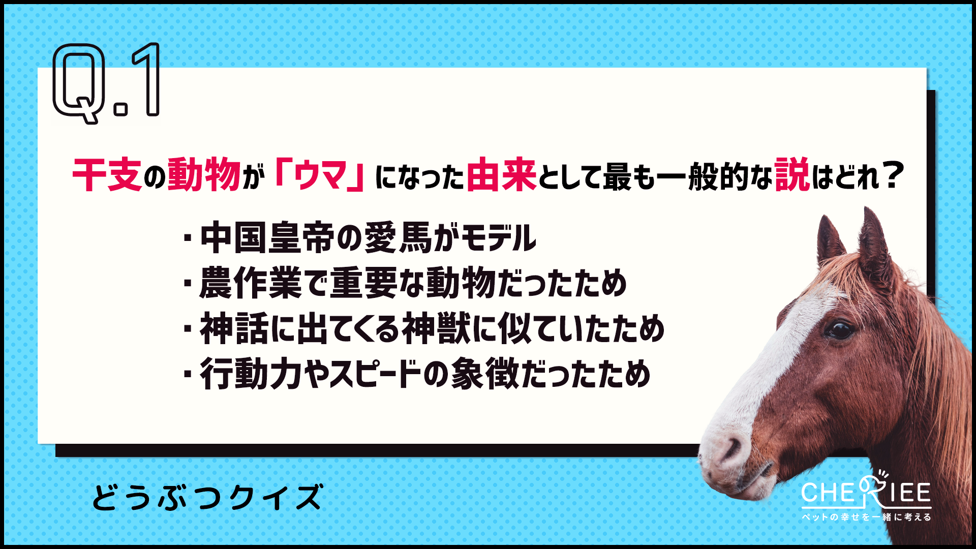 【クイズ】2026年は午年！今すぐ使えるウマの雑学をご紹介！