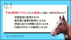 総合ランキング第5位