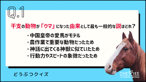 【クイズ】2026年は午年！今すぐ使えるウマの雑学をご紹介！のアイキャッチ画像