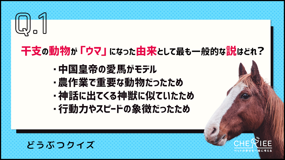 【クイズ】2026年は午年!今すぐ使えるウマの雑学をご紹介!