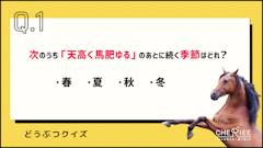 記事カテゴリ第2位