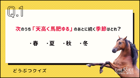 【クイズ】干支で学ぶお正月！馬のことわざクイズに挑戦のアイキャッチ画像