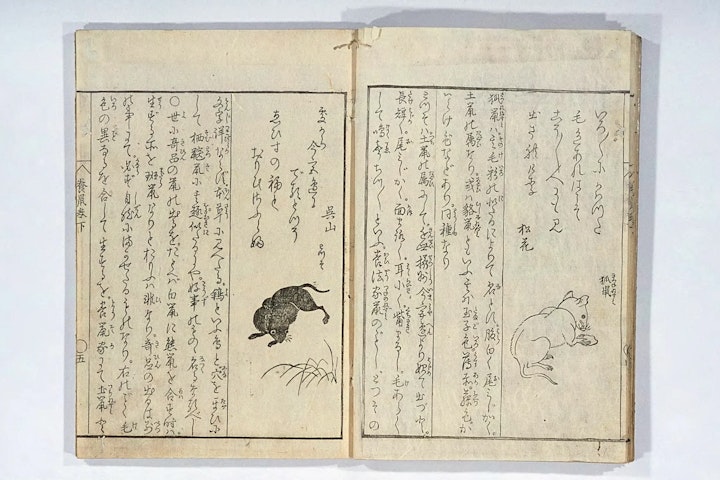 江戸時代,珍玩鼠育草,ネズミ,ペット,養鼠玉のかけはし,歴史