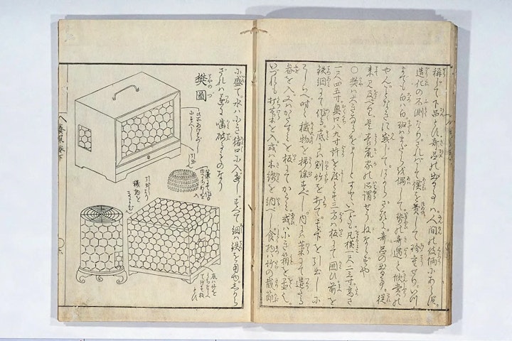 江戸時代,珍玩鼠育草,ネズミ,ペット,養鼠玉のかけはし,歴史