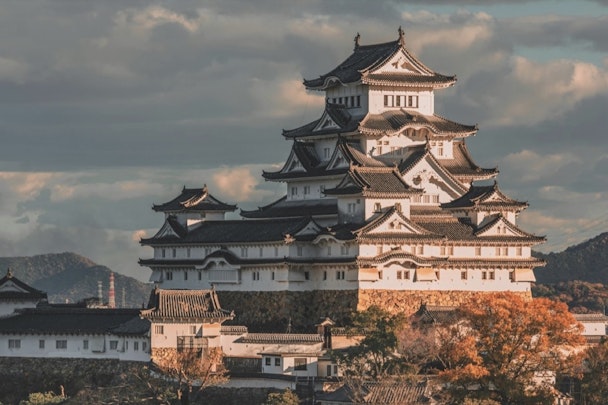 江戸時代は「狆」が大人気！将軍綱吉や藩主が夢中だった座敷犬のアイキャッチ画像