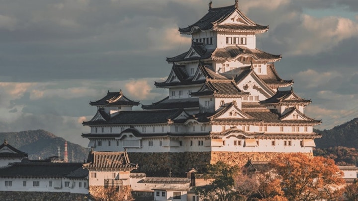 江戸時代は「狆」が大人気!将軍綱吉や藩主が夢中だった座敷犬のアイキャッチ画像