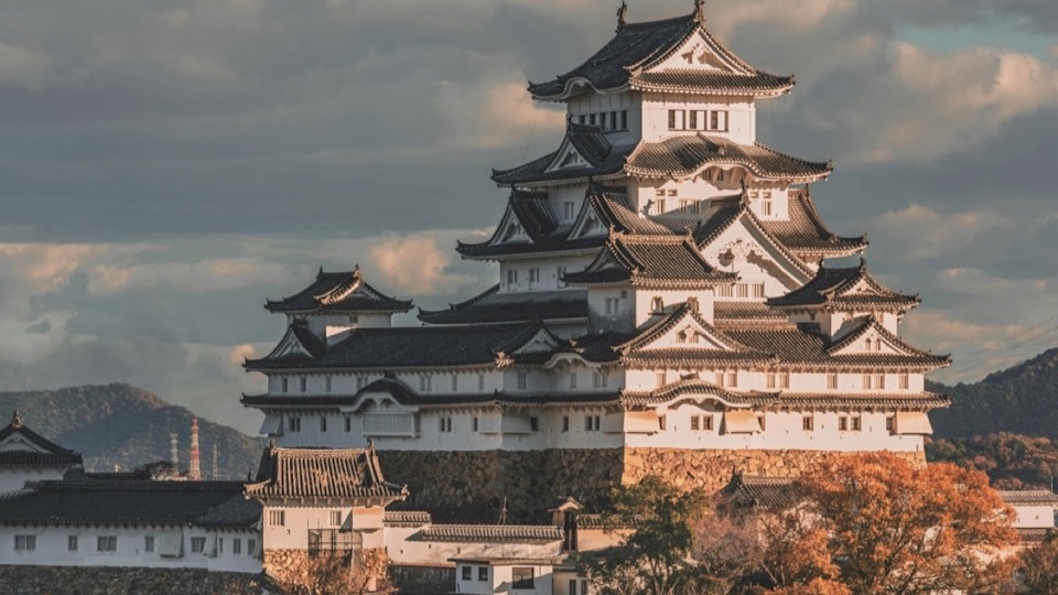 江戸時代は「狆」が大人気!将軍綱吉や藩主が夢中だった座敷犬