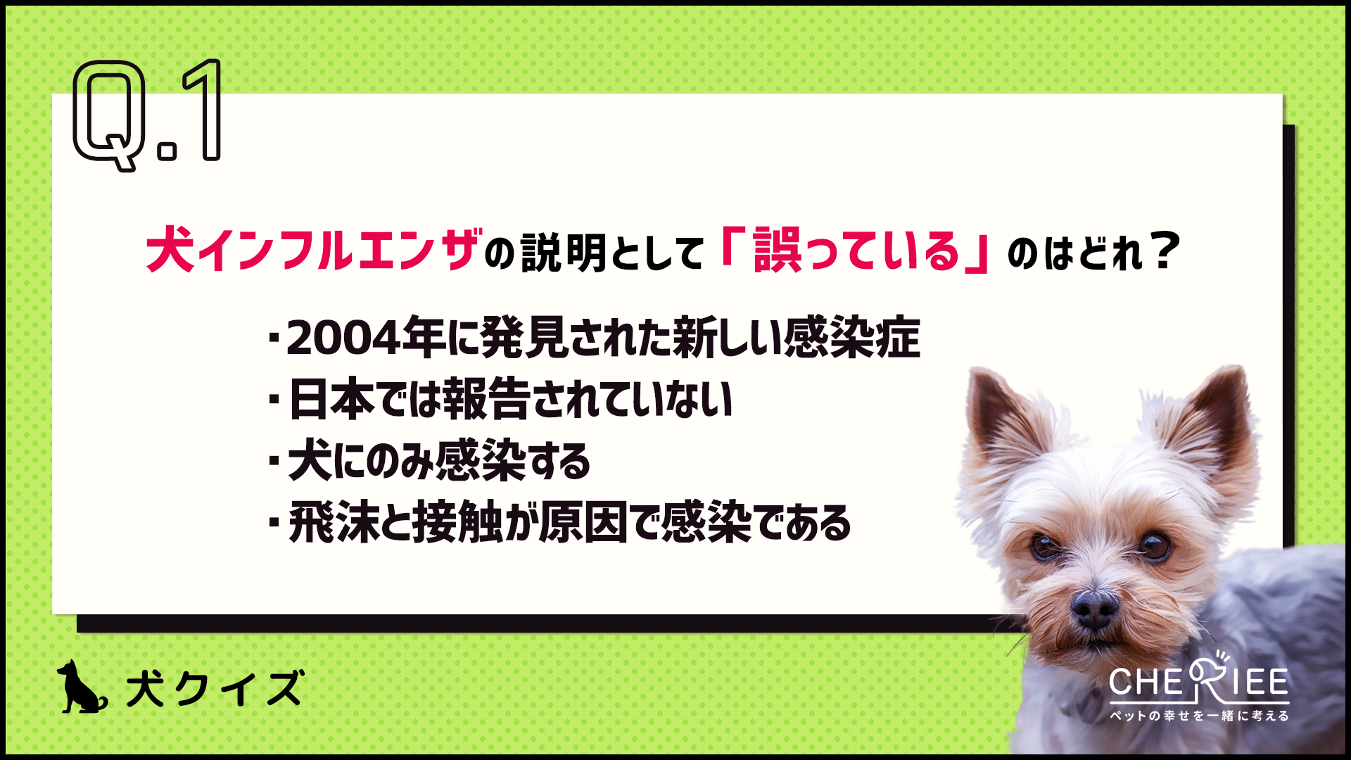 【クイズ】犬もインフルエンザにかかるって知ってた？
