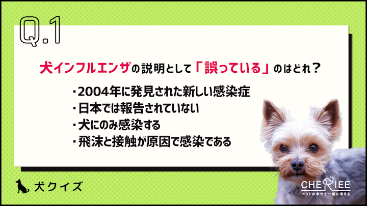 【クイズ】犬もインフルエンザにかかるって知ってた？のアイキャッチ画像