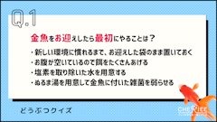 おすすめ記事1