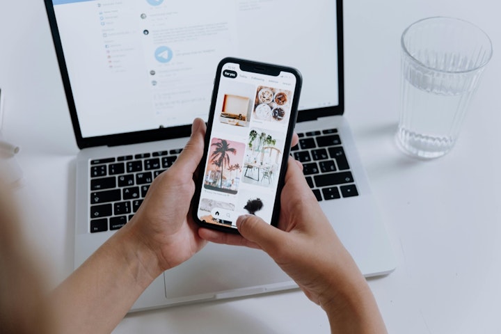 スマホ,出品,犬,猫,写真,販売,ペット