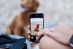 スマホ,出品,犬,猫,写真,販売,ペット