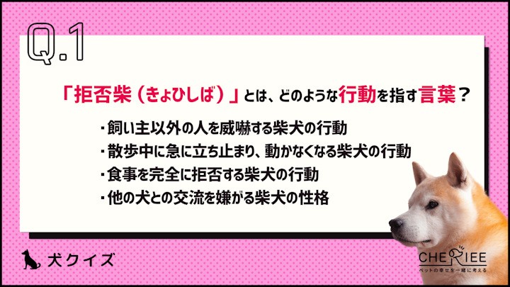 【クイズ】どんな意味がある？柴犬の「拒否柴」とはのアイキャッチ画像