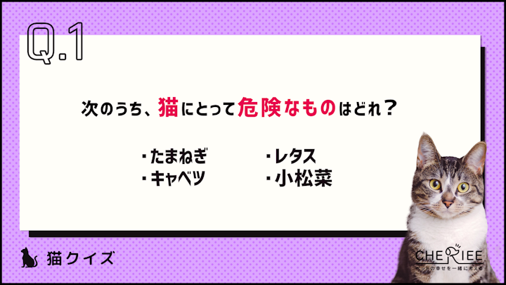 【クイズ】チョコレート以外も注意！猫に与えると危険なものとはのアイキャッチ画像