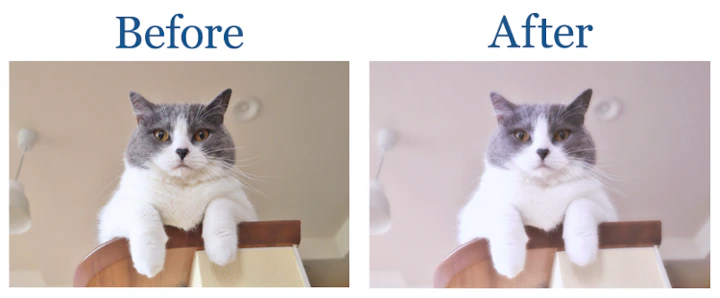 SNS,インスタ,Instagram,TikTok,ハッシュタグ,写真,加工,アプリ