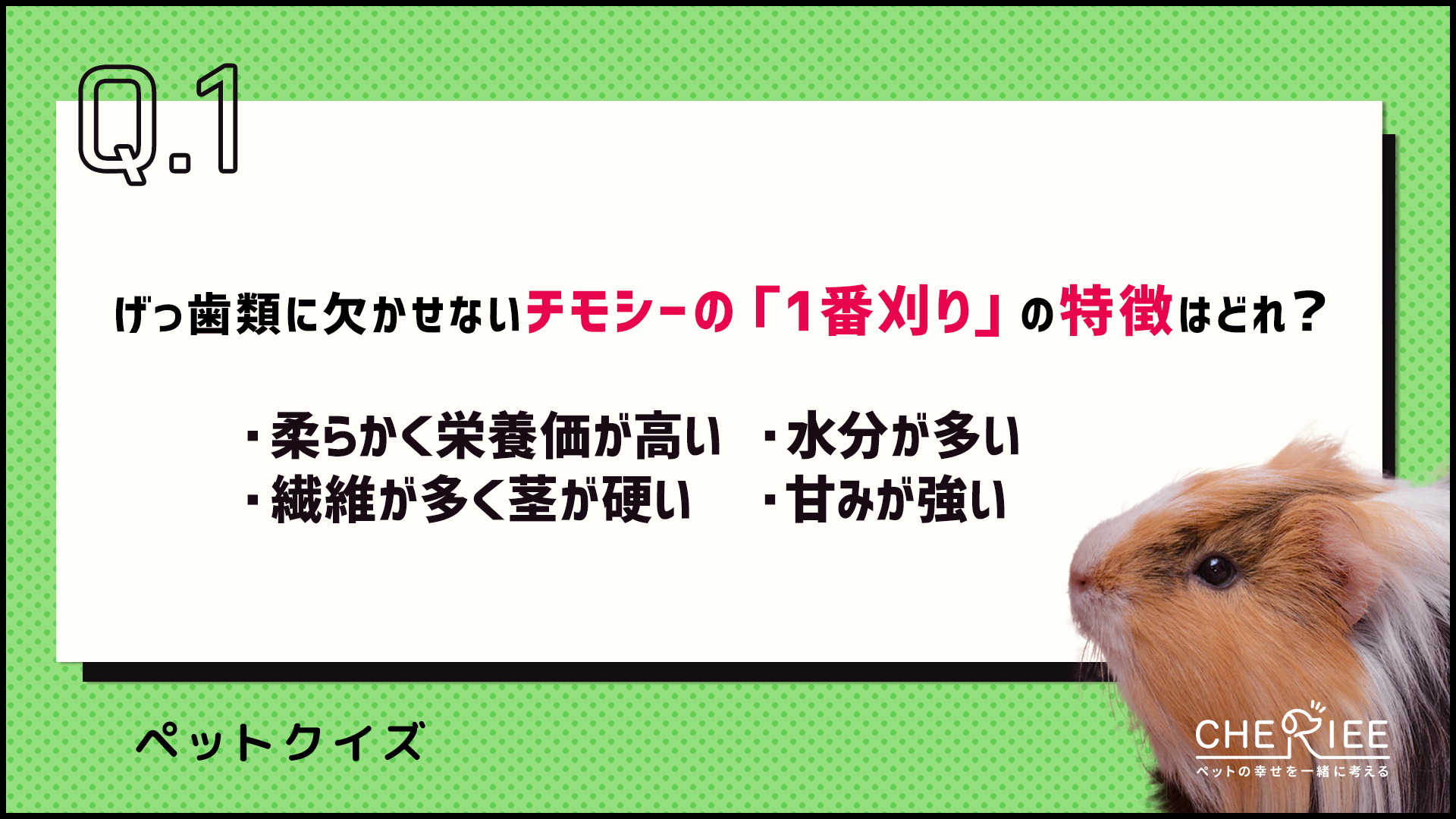 【クイズ】げっ歯類やうさぎに与えるべきチモシーとは？