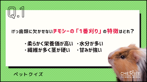 【クイズ】げっ歯類やうさぎに与えるべきチモシーとは？のアイキャッチ画像