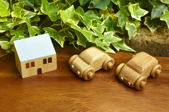 おすすめ,おもちゃ,ストレス,デグー,遊び