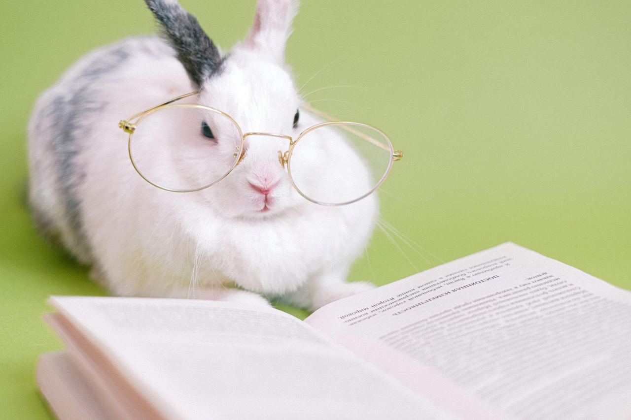 ウサギはいつから日本で飼われていた？飼育の歴史をたどる