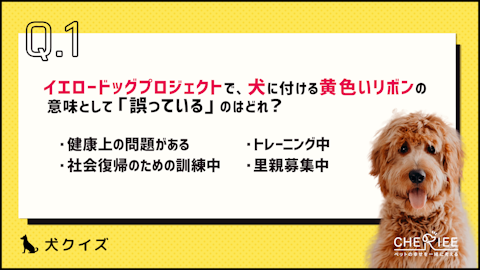 【クイズ】知っておこう！「イエロードッグプロジェクト」とは？のアイキャッチ画像