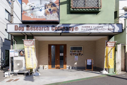 【東京・杉並】笑顔を引き出してくれる犬の保育園「Dog Research Company」にインタビューのアイキャッチ画像