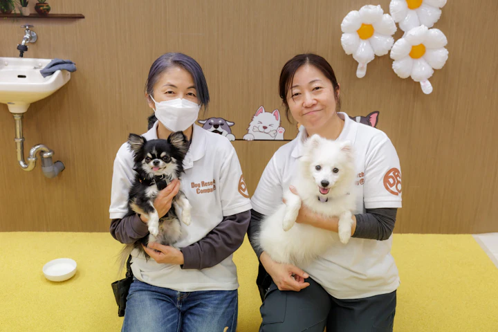 Dog Research Company,犬の保育園,ドッグホテル,社会化,トレーニング,動物行動学