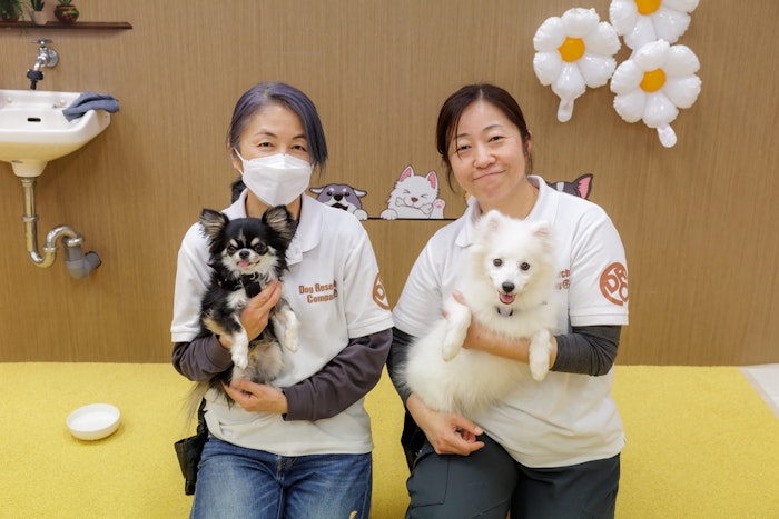 Dog Research Company,犬の保育園,ドッグホテル,社会化,トレーニング,動物行動学
