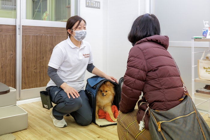Dog Research Company,犬の保育園,ドッグホテル,社会化,トレーニング,動物行動学